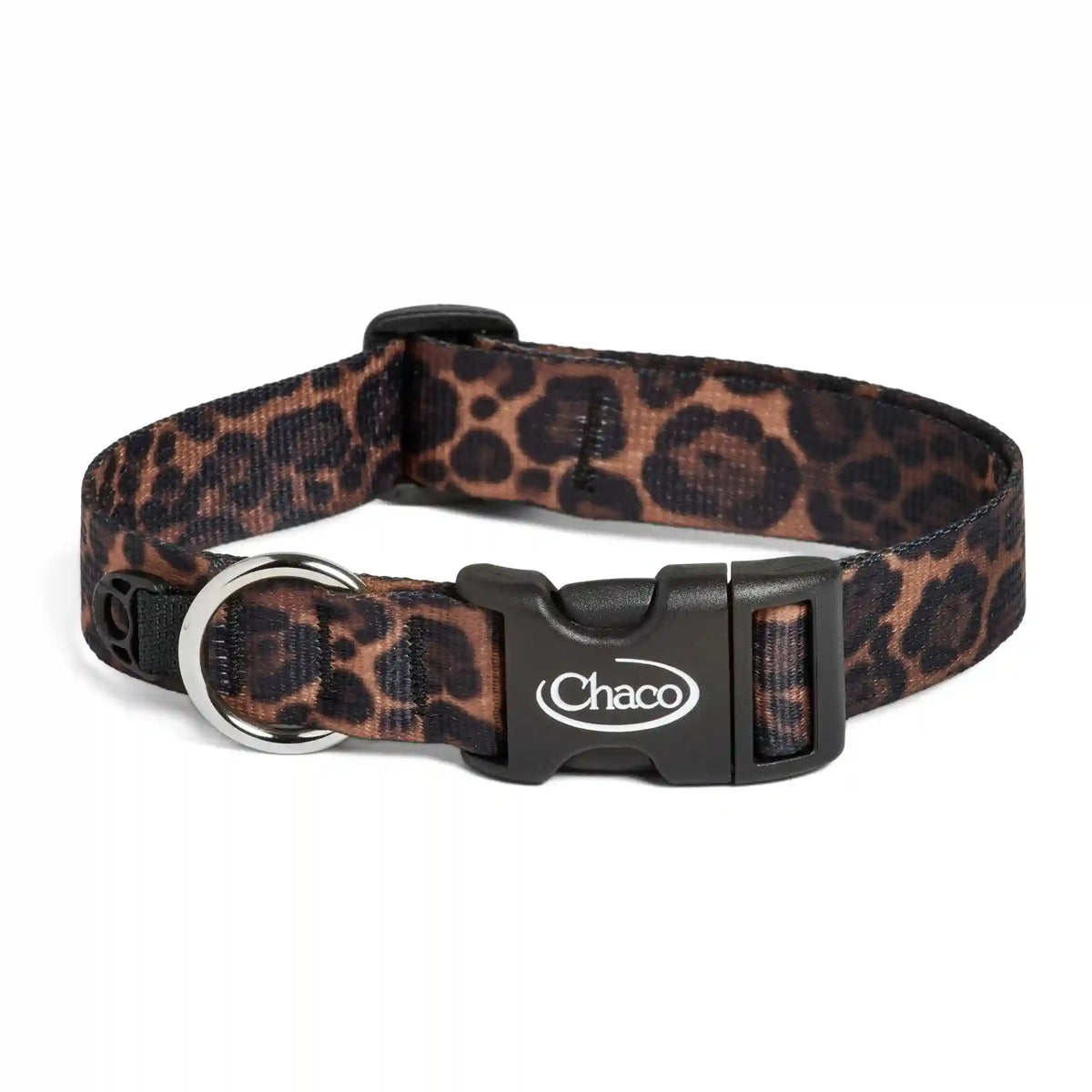Dog Collars